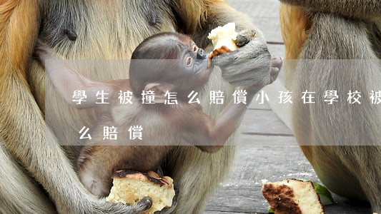 學生被撞怎么賠償(小孩在學校被學生撞傷,怎么賠償)