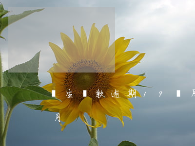 學生貸款逾期19個月(助學貸款逾期18個月)