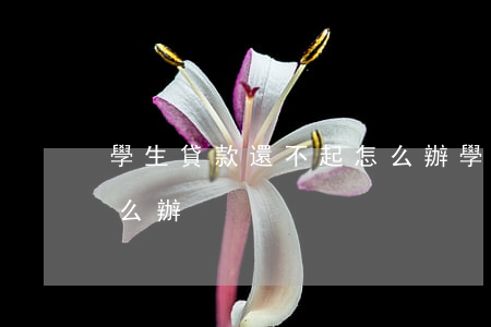 學生貸款還不起怎么辦(學生貸款無力償還怎么辦)