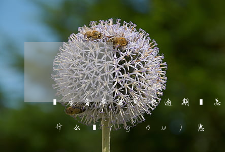 學生香港信用卡逾期會怎么樣(香港學生卡有什么優(yōu)惠)