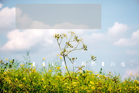 學費免息分期影響征信-分期學費可以退嗎