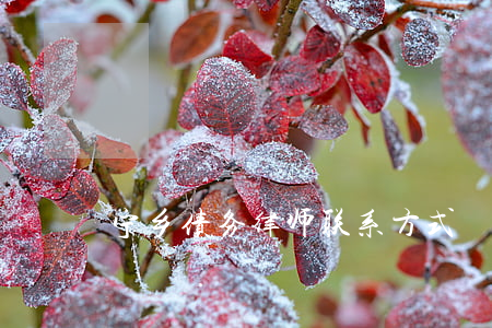 宁乡债务律师联系方式