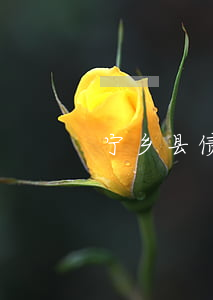 宁乡县债务律师(宁乡县债务律师电话)