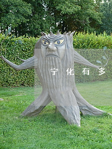 宁化有多少人欠信用卡