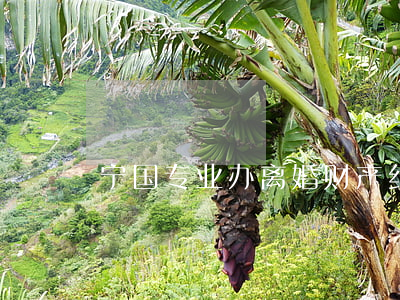宁国专业办离婚财产纠纷律师(海宁离婚律师)