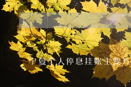 宁夏个人停息挂账主要方式有哪些