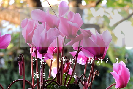宁夏律师收费标准2013(宁夏律师收费标准2016)