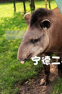 宁德二手房出售