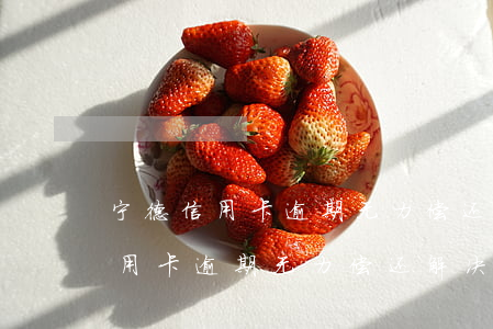 宁德信用卡逾期无力偿还解决办法-宁德信用卡逾期无力偿还解决办法最新