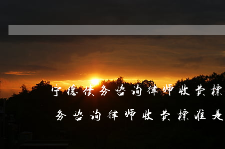 宁德债务咨询律师收费标准是多少-宁德债务咨询律师收费标准是多少钱