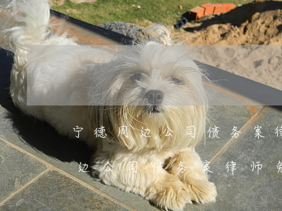 宁德周边公司债务案律师免费咨询-宁德周边公司债务案律师免费咨询电话号码