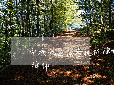 宁德地区债务执行律师-宁德地区债务执行律师