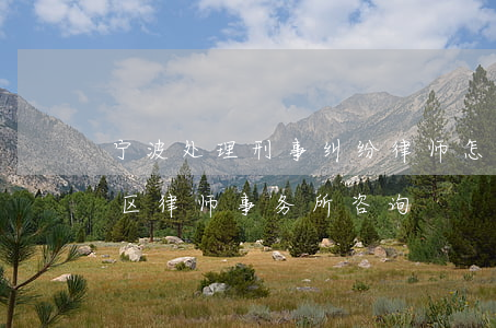 宁波处理刑事纠纷律师怎么委托(宁波市鄞州区律师事务所咨询)