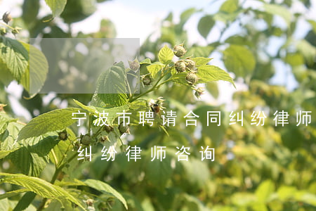宁波市聘请合同纠纷律师如何委托(宁波经济纠纷律师咨询)