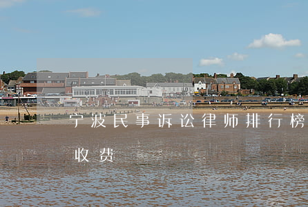 宁波民事诉讼律师排行榜（宁波民事债务律师收费）