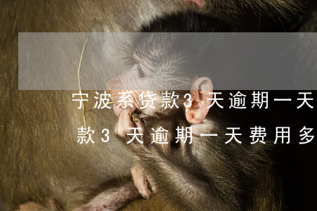 宁波系贷款3天逾期一天费用多少(宁波系贷款3天逾期一天费用多少)