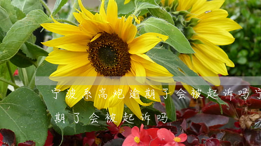 宁波系高炮逾期了会被起诉吗(宁波系高炮逾期了会被起诉吗)