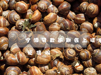 宁波贷款逾期会上征信吗(宁波银行直接贷上征信吗)