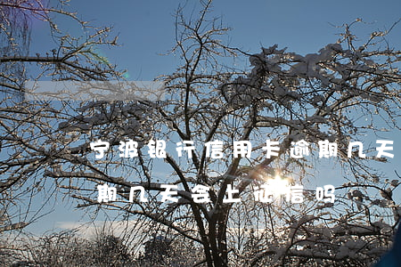 宁波银行信用卡逾期几天(宁波银行信用卡逾期几天会上征信吗)