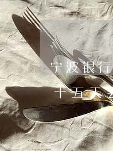 宁波银行房贷逾期100(宁波银行贷款逾期十五天会影响征信吗)