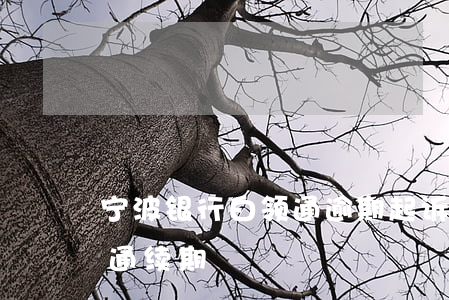 宁波银行白领通逾期起诉(宁波银行线上白领通续期)