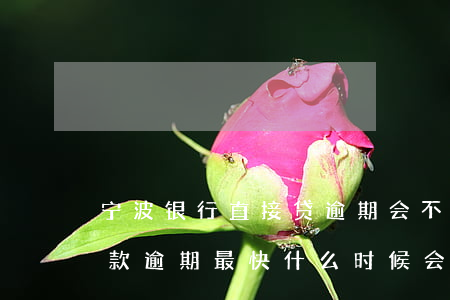 宁波银行直接贷逾期会不会起诉(宁波银行贷款逾期最快什么时候会起诉我)