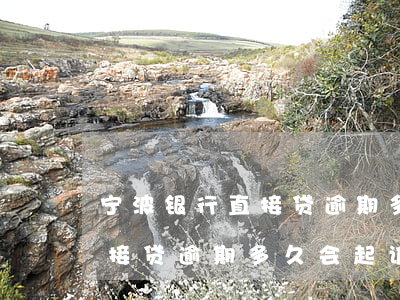 宁波银行直接贷逾期多久会起诉(宁波银行直接贷逾期多久会起诉)