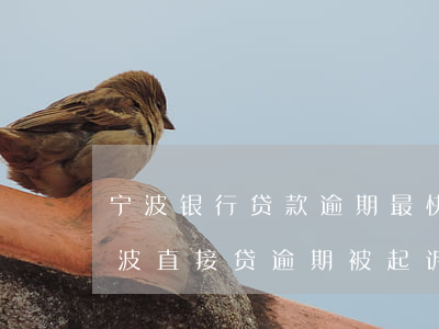 宁波银行贷款逾期最快什么时候会起诉我（宁波直接贷逾期被起诉怎么办）