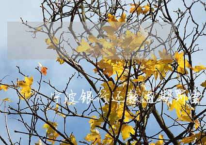 宁波银行还款逾期罚金(宁波银行还款宽限期)
