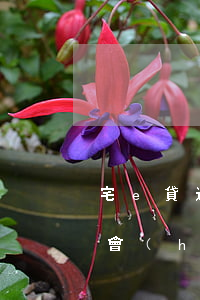 宅e貸逾期多久被起訴（平安宅e貸逾期多久會(huì)起訴嗎）