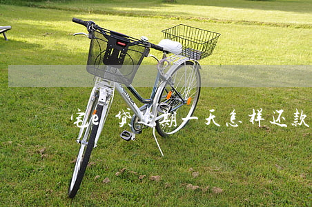 宅e贷逾期一天怎样还款(宅e贷逾期半年)