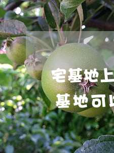 宅基地上搭棚需要什么手續(xù)(農村宅基地可以蓋大棚嗎)
