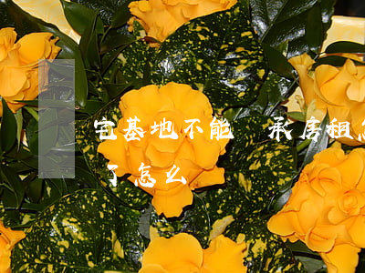 宅基地不能繼承房租怎么辦(宅基地不能繼承了怎么辦)
