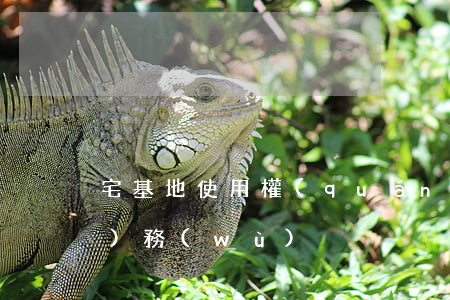 宅基地使用權(quán)繼承實(shí)務(wù)