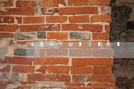 宅基地可由孫子繼承嗎