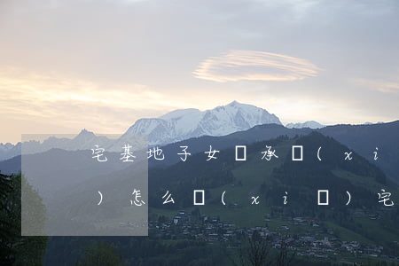 宅基地子女繼承協(xié)議書(shū)怎么寫(xiě)(宅基地繼承申請(qǐng)書(shū)怎么寫(xiě))