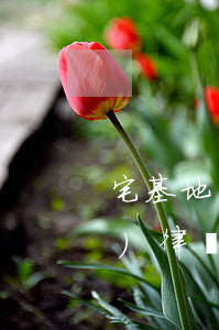 宅基地專業(yè)律師(宅基地專業(yè)律師)