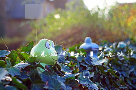 宅基地律師免費(宅基地律師咨詢)