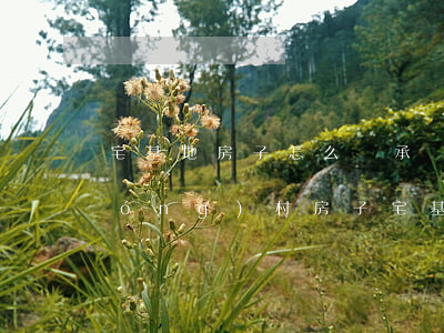 宅基地房子怎么繼承權(quán)(農(nóng)村房子宅基地繼承法)