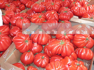 宅基地房屋拆遷補償(宅基地房屋拆遷補償屬于誰?)
