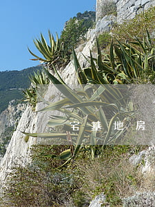 宅基地房屋能繼承嗎
