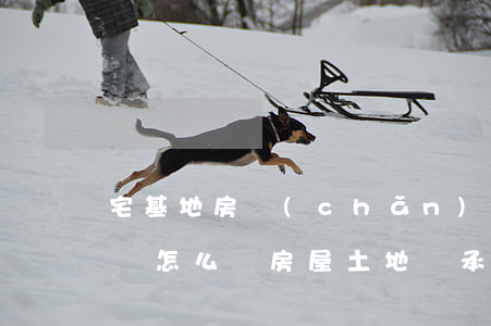 宅基地房產(chǎn)繼承協(xié)議怎么寫(房屋土地繼承協(xié)議書)