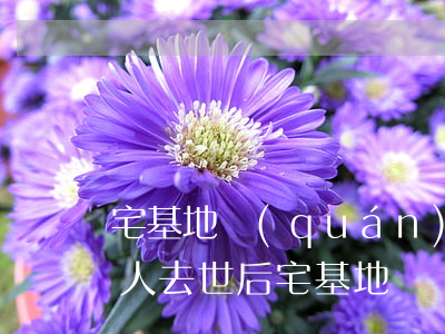 宅基地權(quán)利人死亡怎么繼承(老人去世后宅基地歸誰(shuí)繼承)