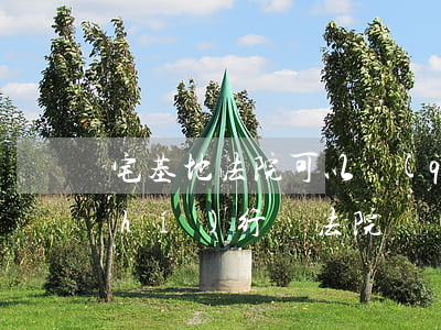 宅基地法院可以強(qiáng)制執(zhí)行嗎(法院強(qiáng)制執(zhí)行會執(zhí)行農(nóng)村宅基地嗎)