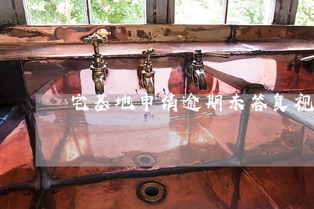 宅基地申请逾期未答复视为同意吗