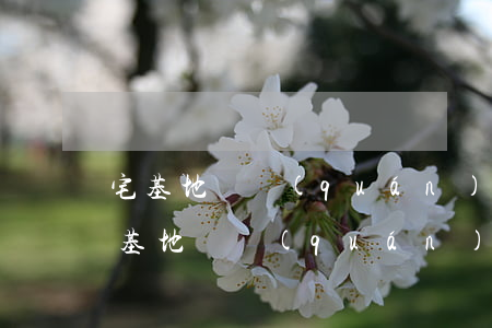 宅基地確權(quán)有爭議如何解決，宅基地確權(quán)有爭議如何解決兄弟刁難