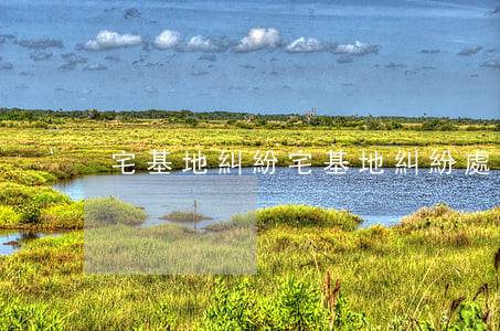 宅基地糾紛(宅基地糾紛處理程序一般怎么走)