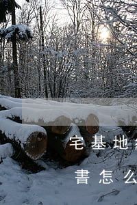 宅基地繼承過(guò)戶協(xié)議書怎么寫(宅基地使用權(quán)證繼承變更流程)