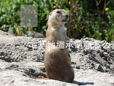 宅基地繼承遺囑怎么寫(宅基地遺囑繼承有效)