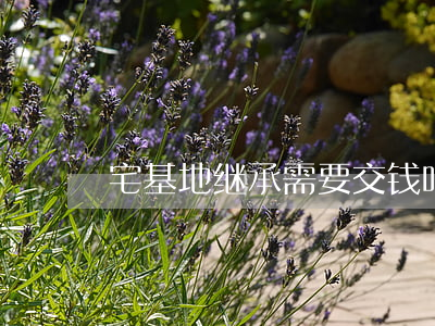 宅基地继承需要交钱吗(宅基地有继承权吗?)